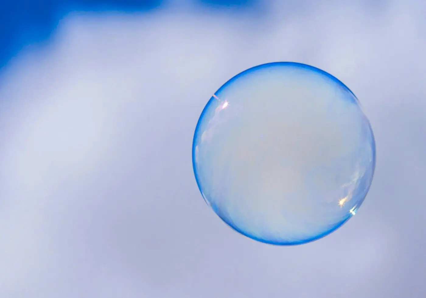 vcs urge founders to fundraise before ai bubble bursts