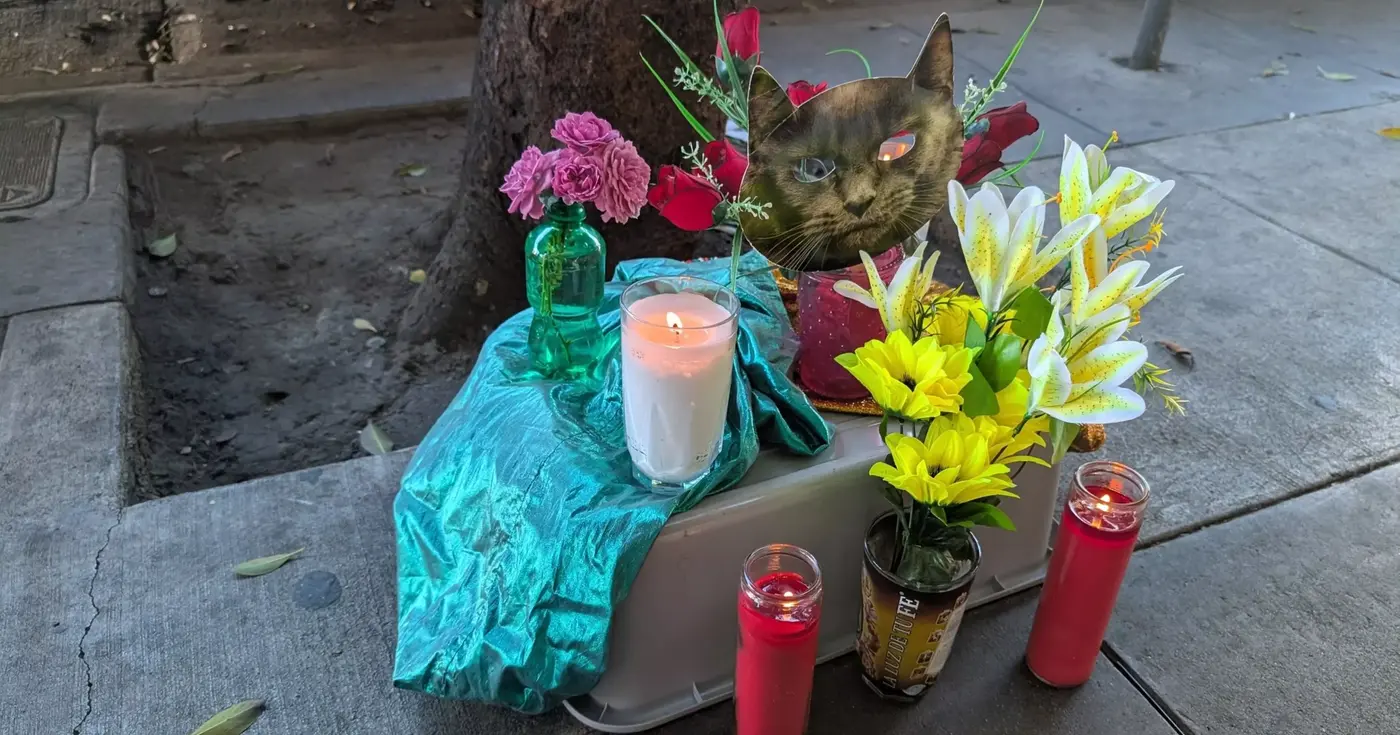 waymo robotaxi kills x27oneofakindx27 bodega cat owner claims