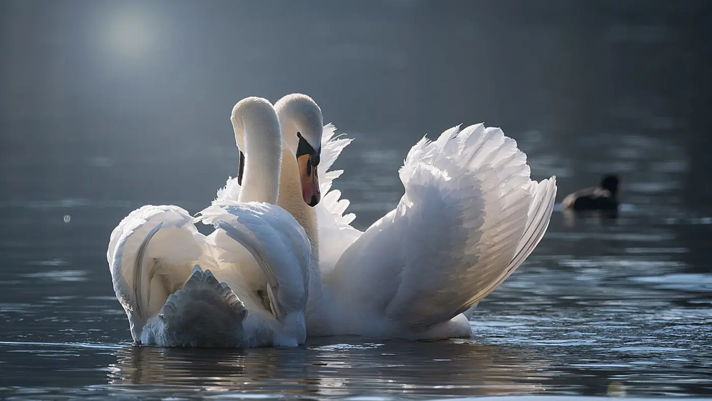 how are opentelemetry and fluent bit related