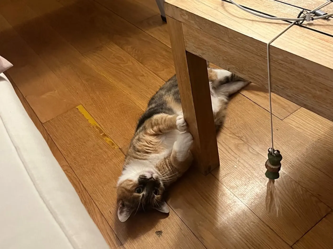 claude code can debug lowlevel cryptography