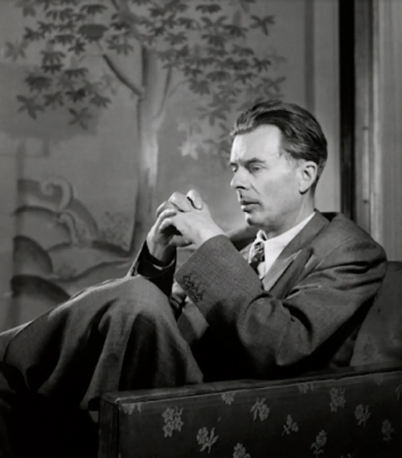 aldous huxley predicts adderall