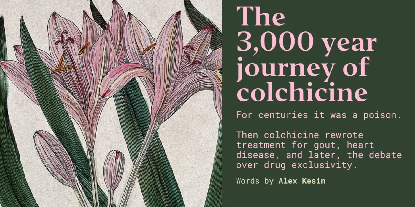 the three thousand year journey of colchicine