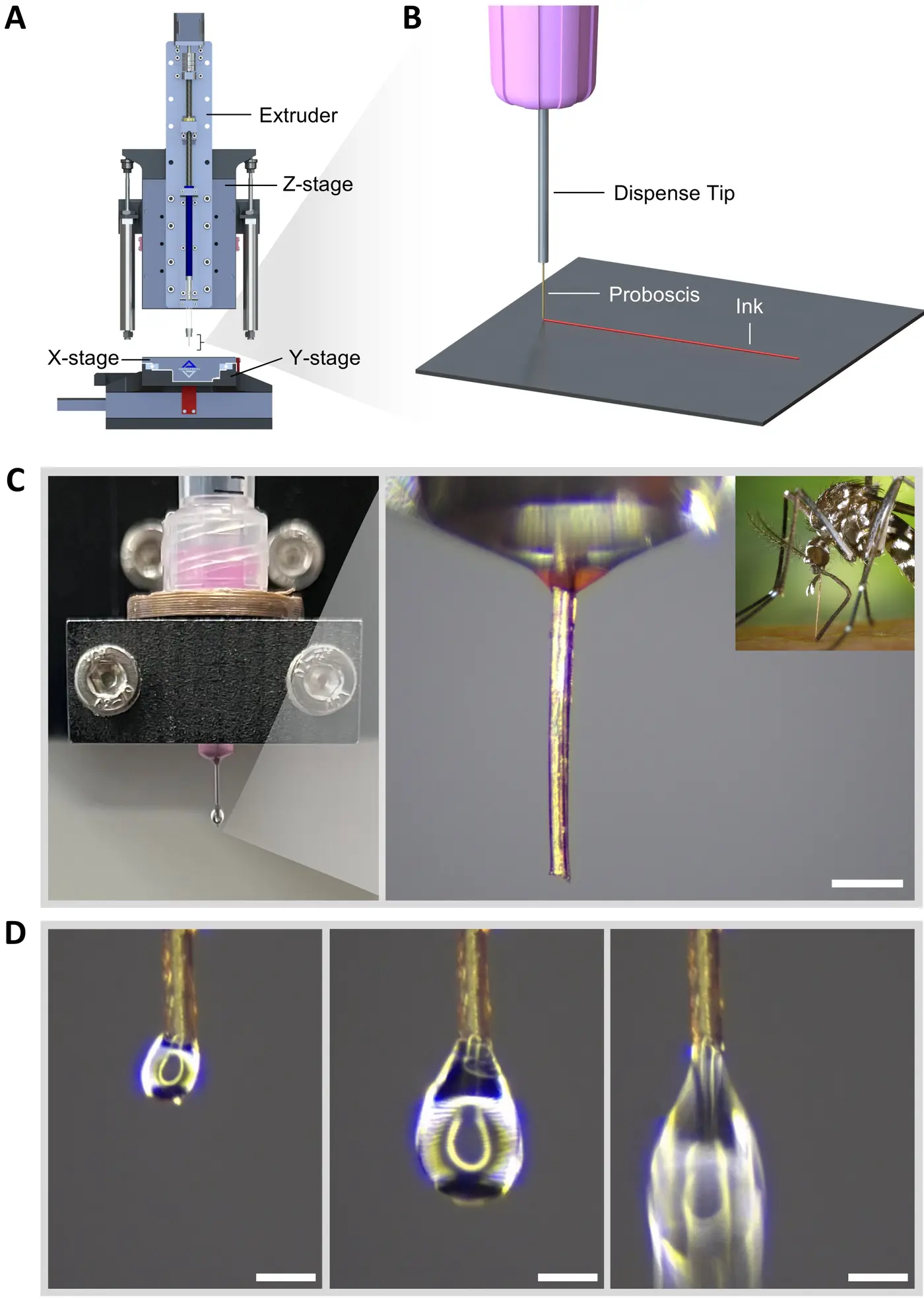 engineers repurpose a mosquito proboscis to create a 3d printing nozzle