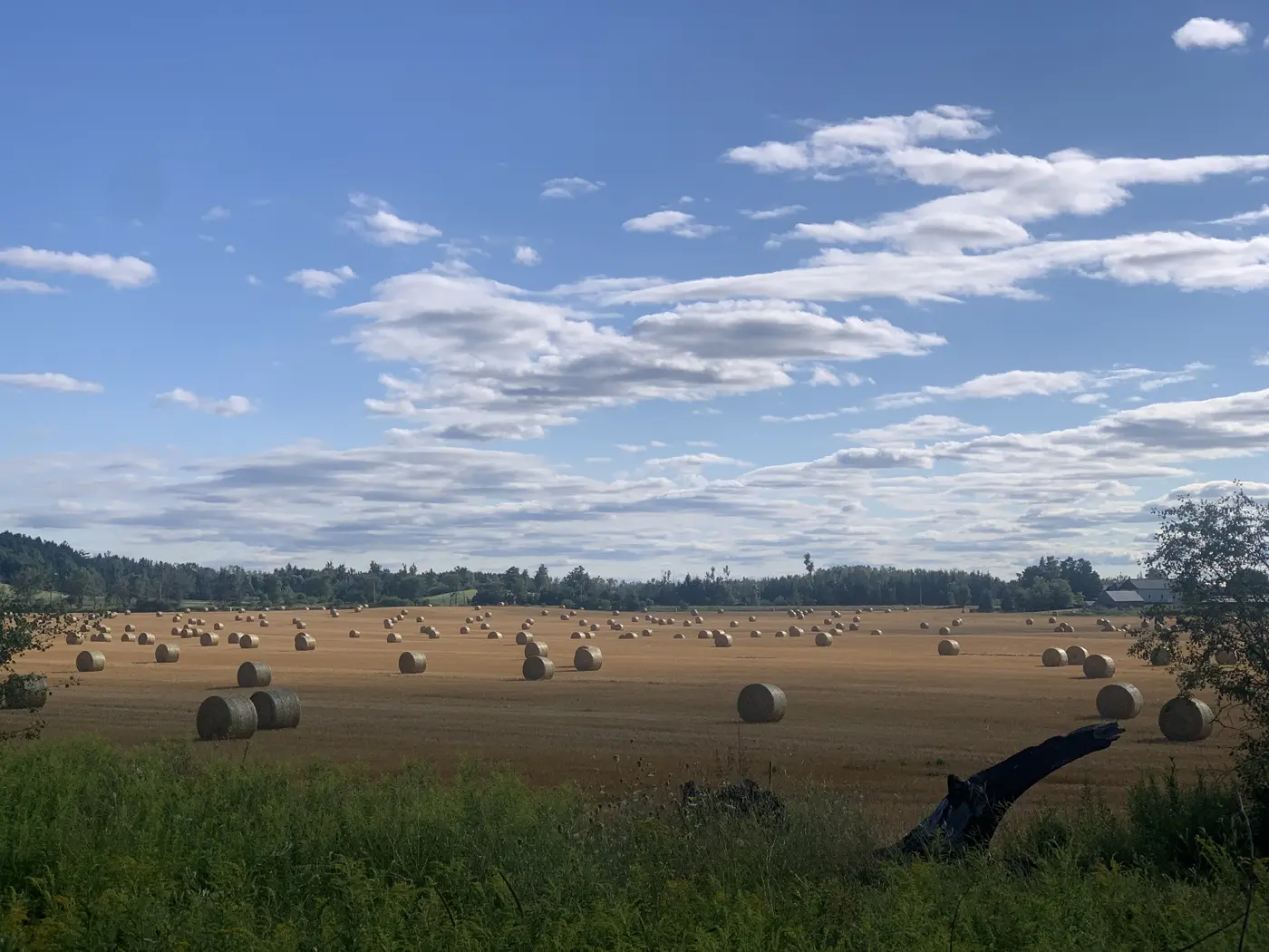 10 years of writing a blog nobody reads