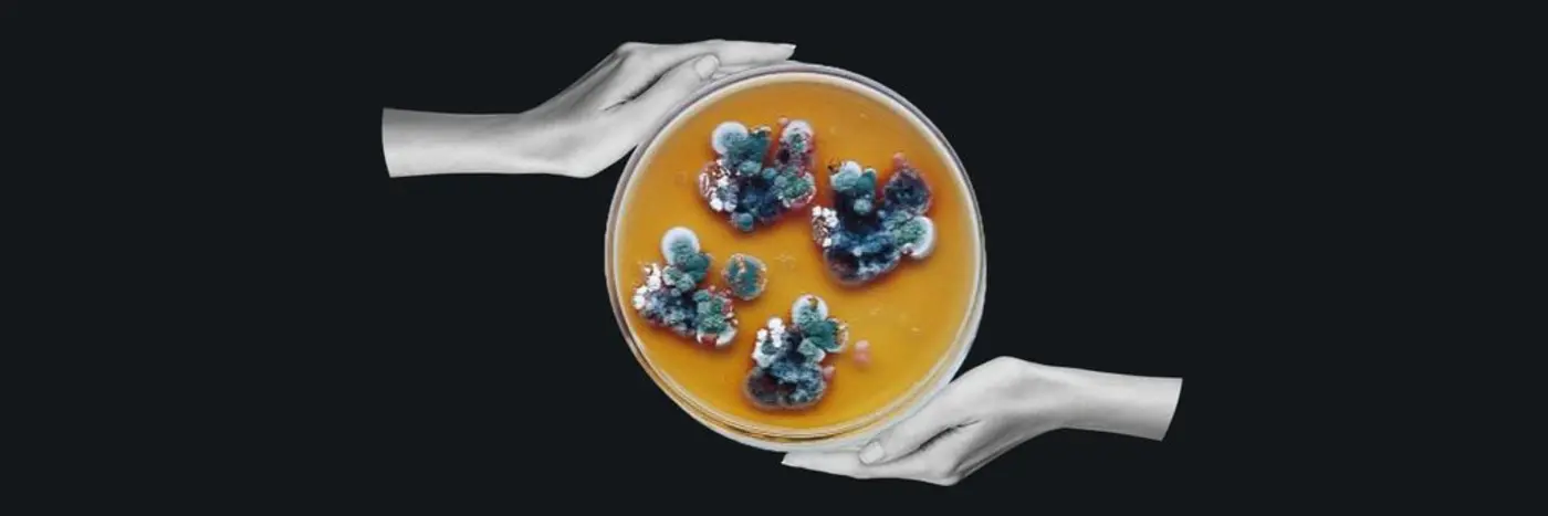 the mysterious black fungus from chernobyl that may eat radiation