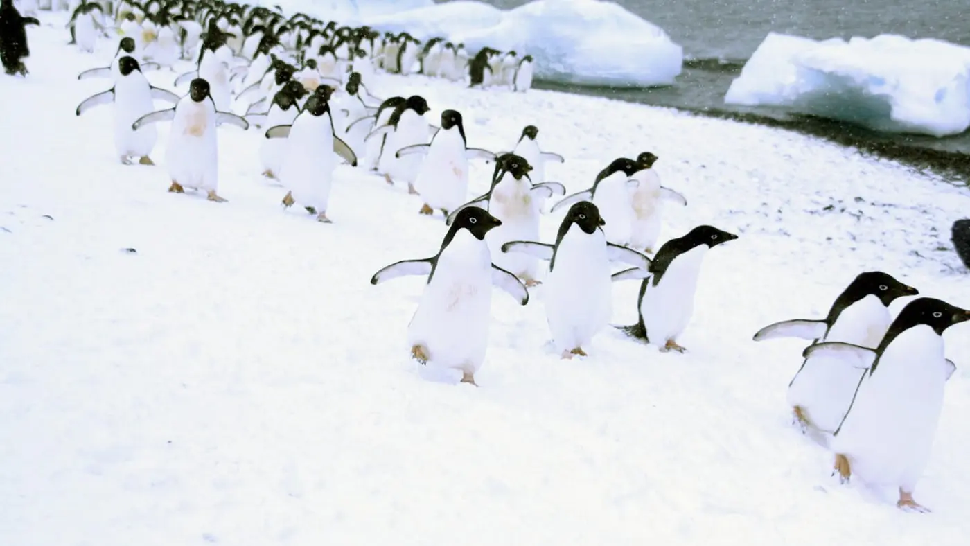 by my count linux has 11 of the desktop market herex27s how i got that number