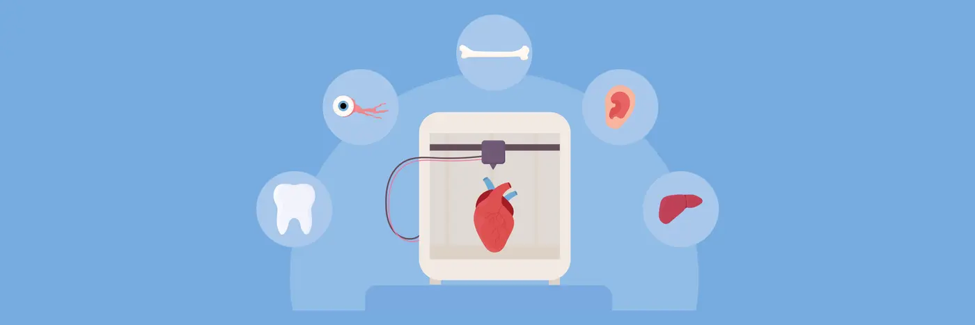 how to print a human