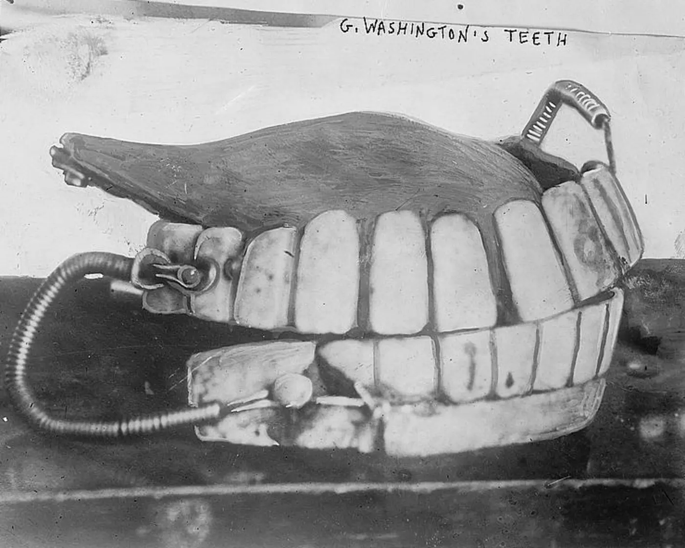 george washingtonx27s teeth