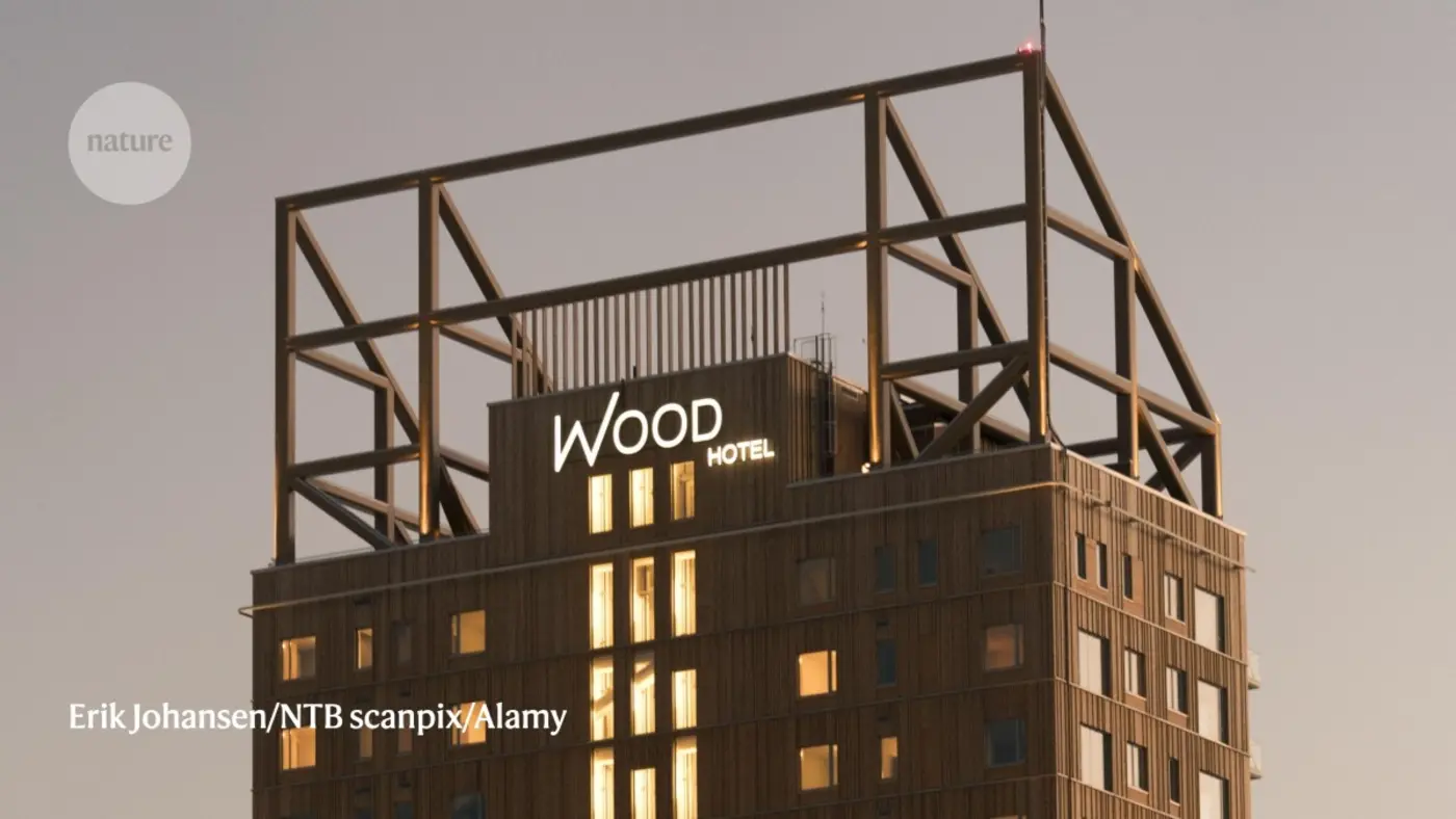 wooden skyscrapers point the way to more sustainable cities