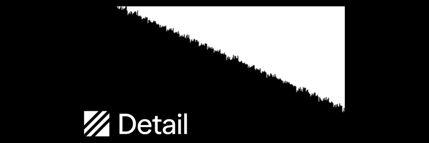 show hn detail a bug finder