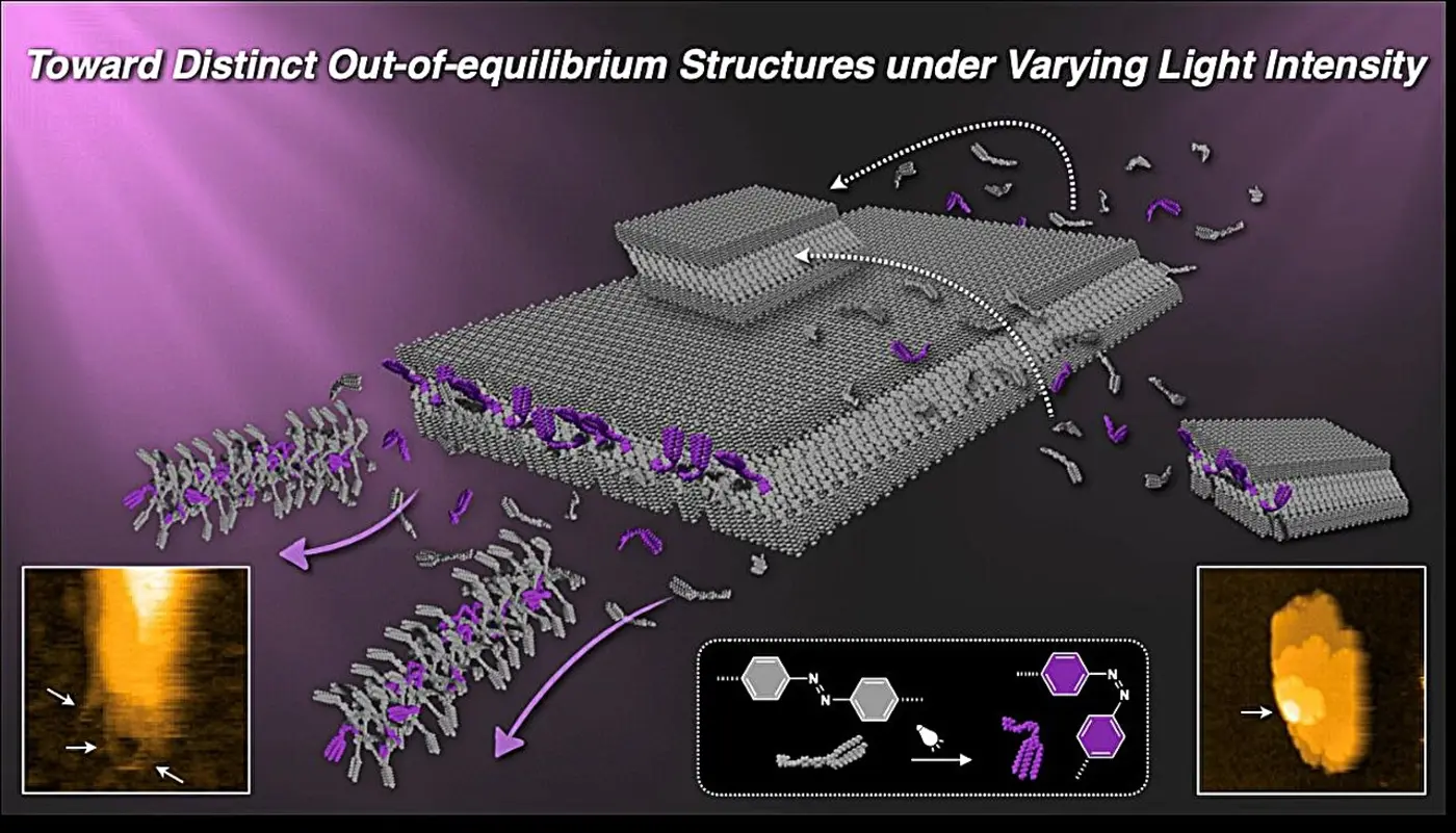 light intensity steers molecular assemblies into 1d 2d or 3d structures