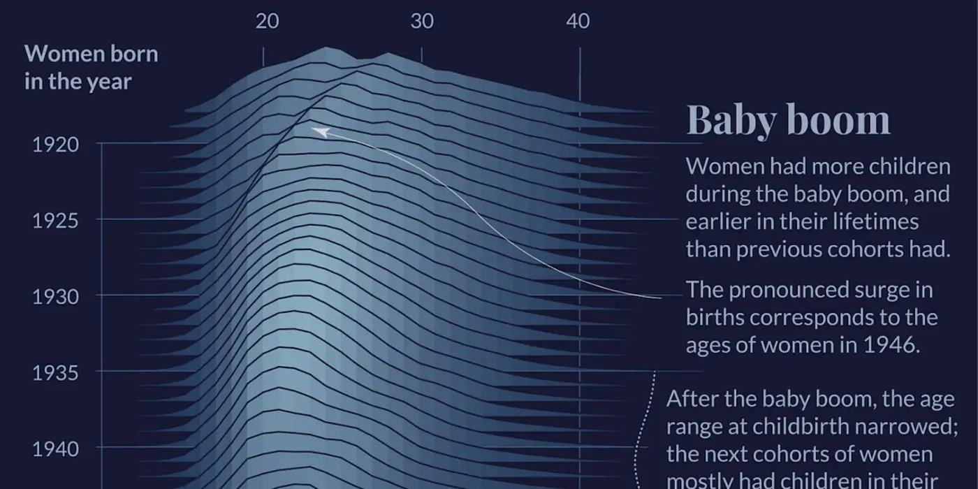 salonix27s guide to data visualization