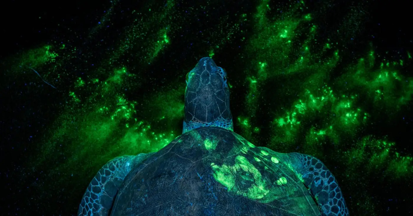 timex27s top photos of 2025