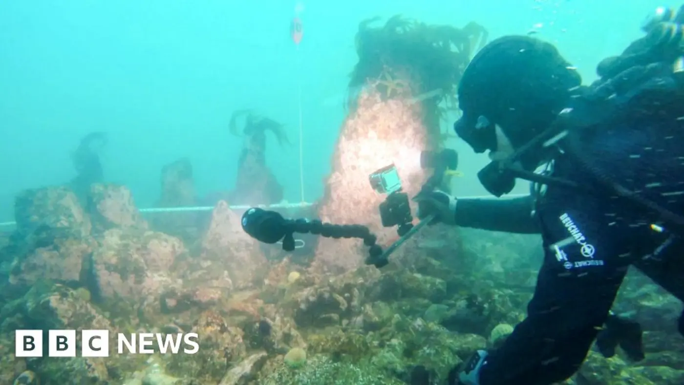 huge undersea wall dating from 5000 bc found in france
