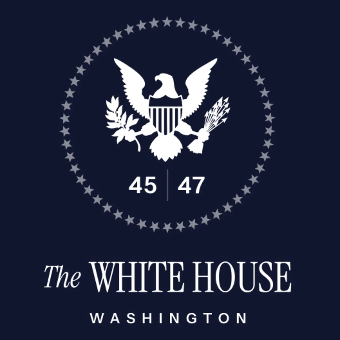 ensuring a national policy framework for artificial intelligence