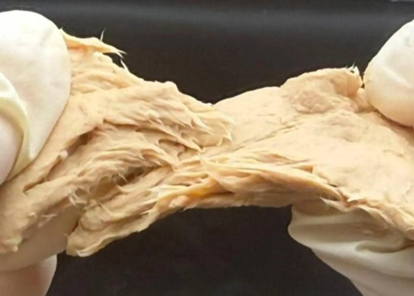 crispr fungus proteinpacked sustainable and tastes like meat