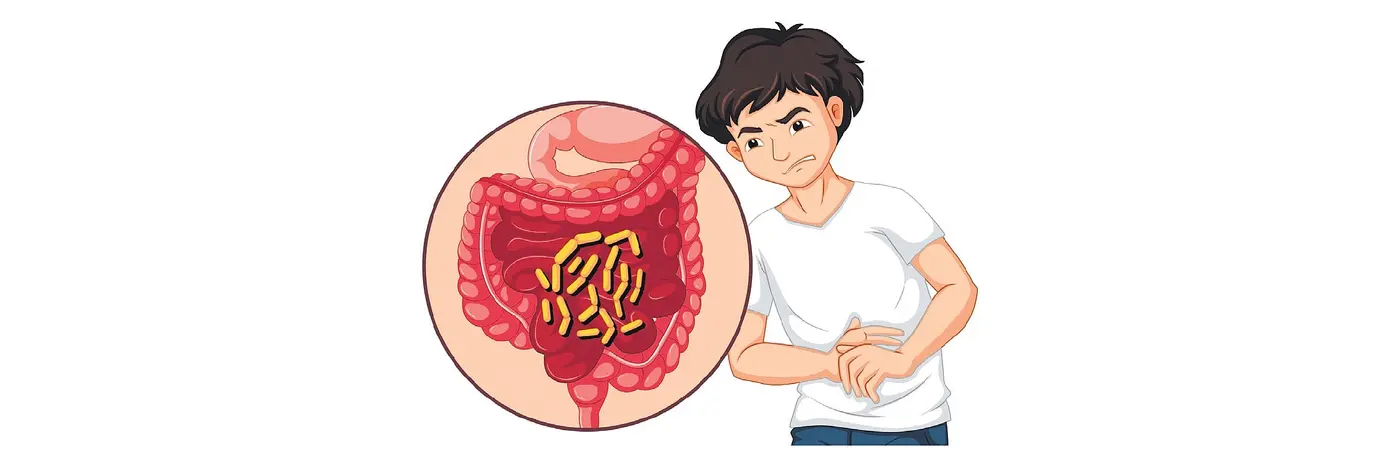 gut microbial imbalance can impact memory says study