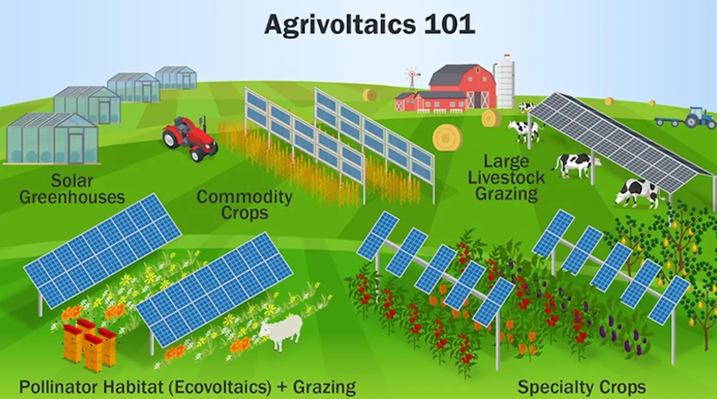 there is one clear winner in the corn vs solar battle