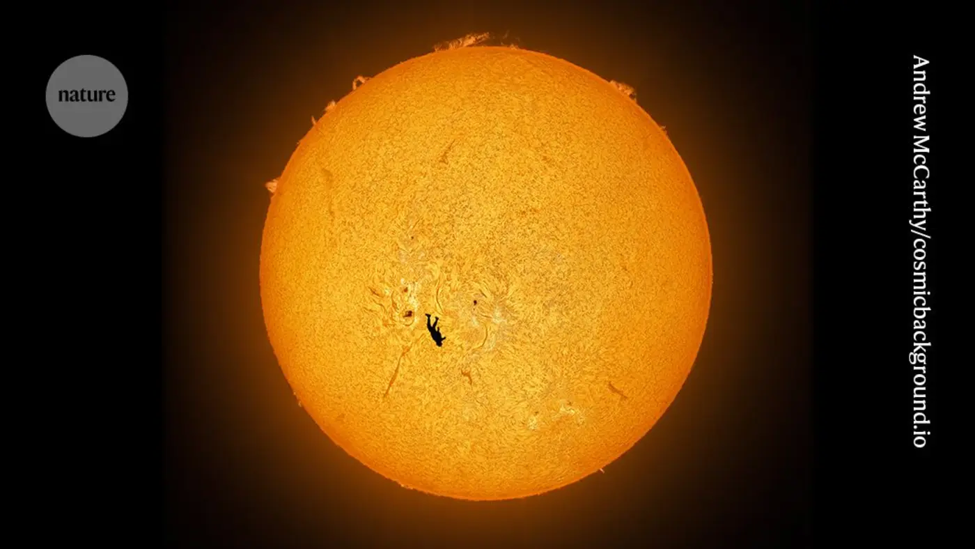 science images of 2025 naturex27s picks