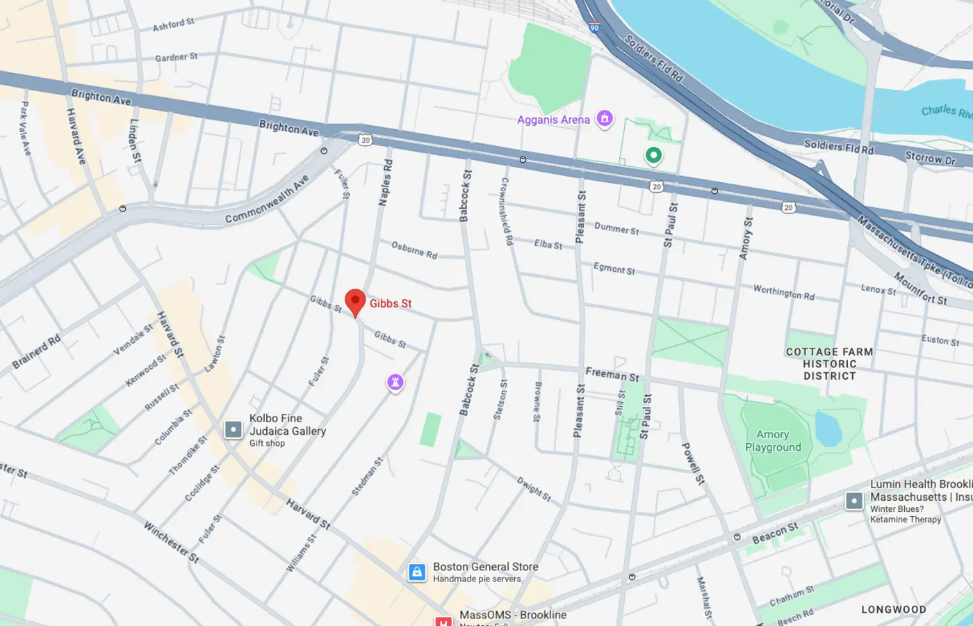 mit nuclear science professor shot and killed in his brookline home