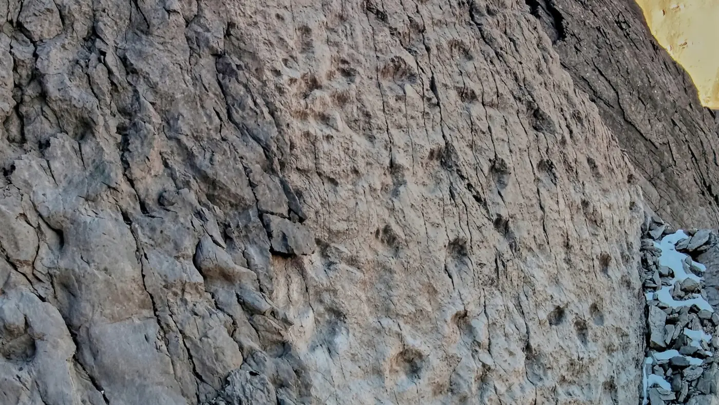 photographer finds thousands of dinosaur footprints near italian olympic venue