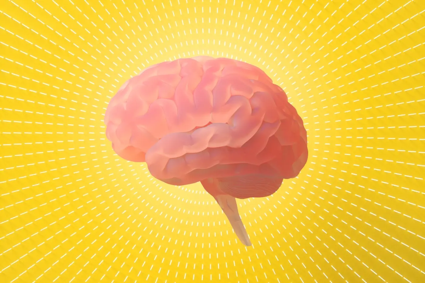 the 10 most mindblowing discoveries about the brain in 2025