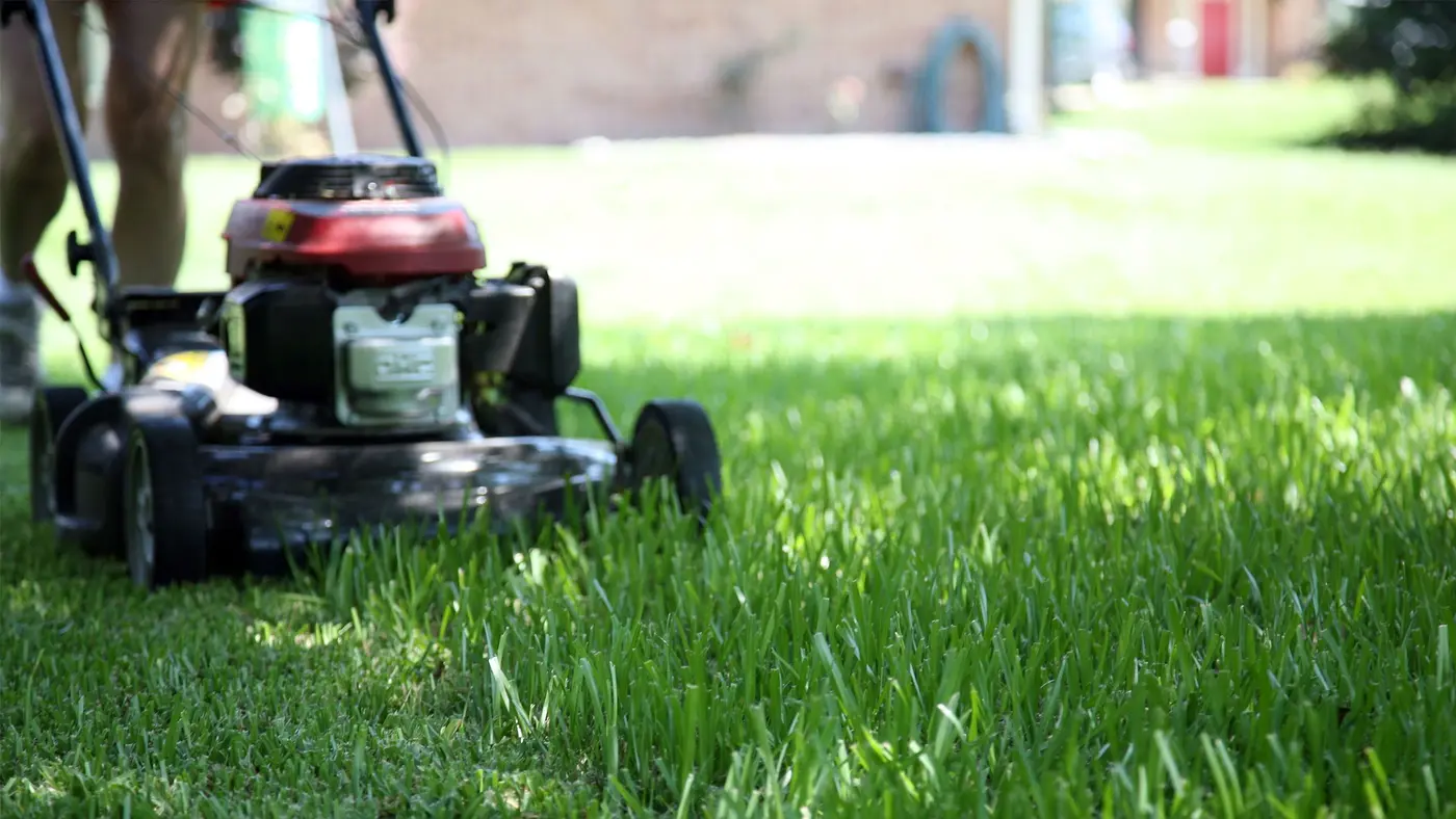 life death and mowing