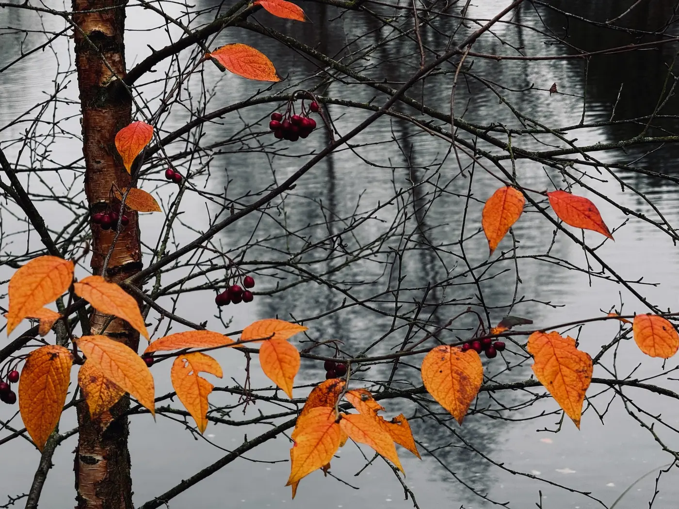 a love letter to raycast