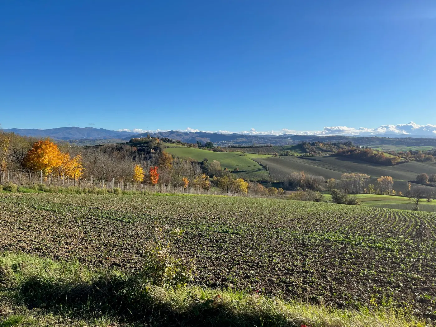 building a transparent keyserver