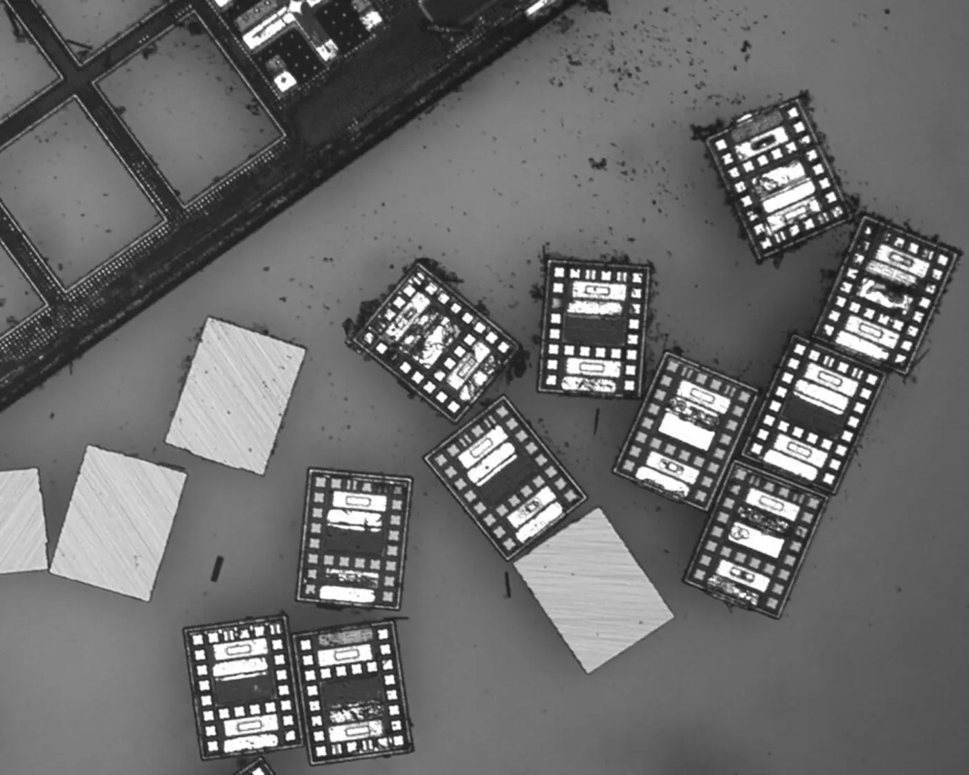 robots are the size of single cells and cost just a penny apiece