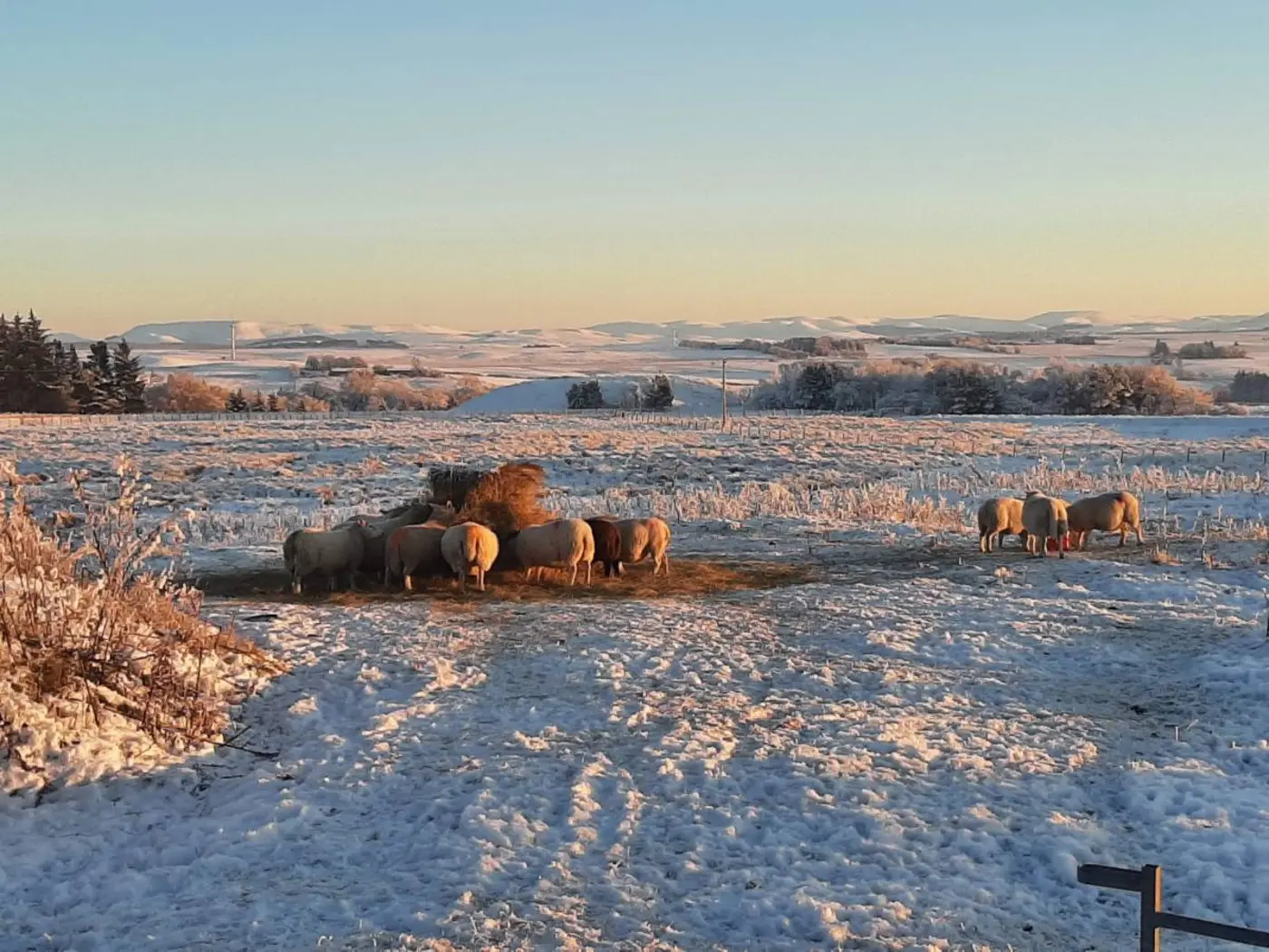 mathematicians donx27t care about foundations