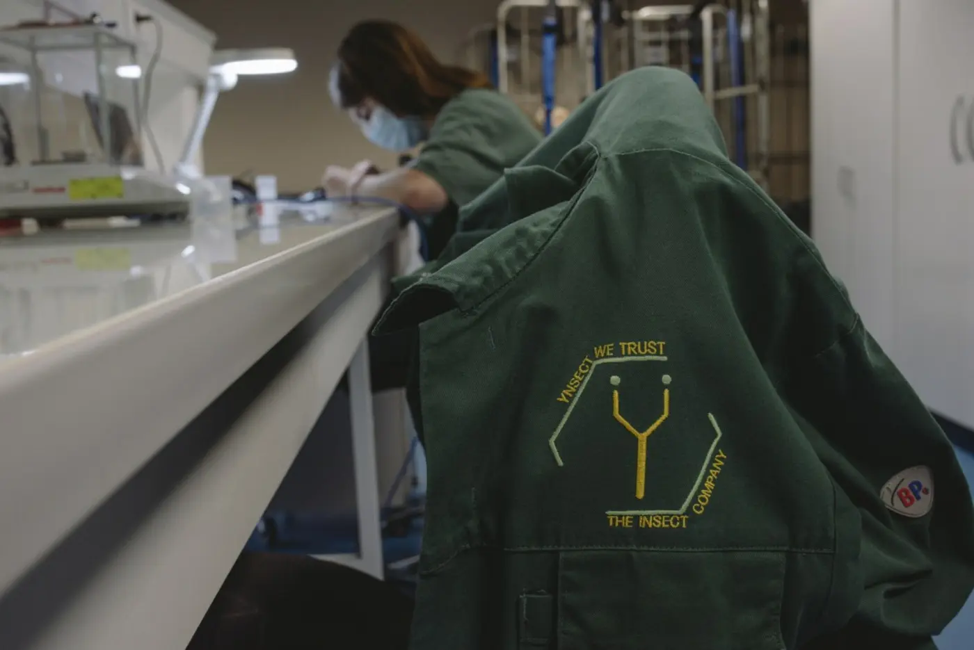 reality crushed nsect startup that had raised over 600m for insect farming