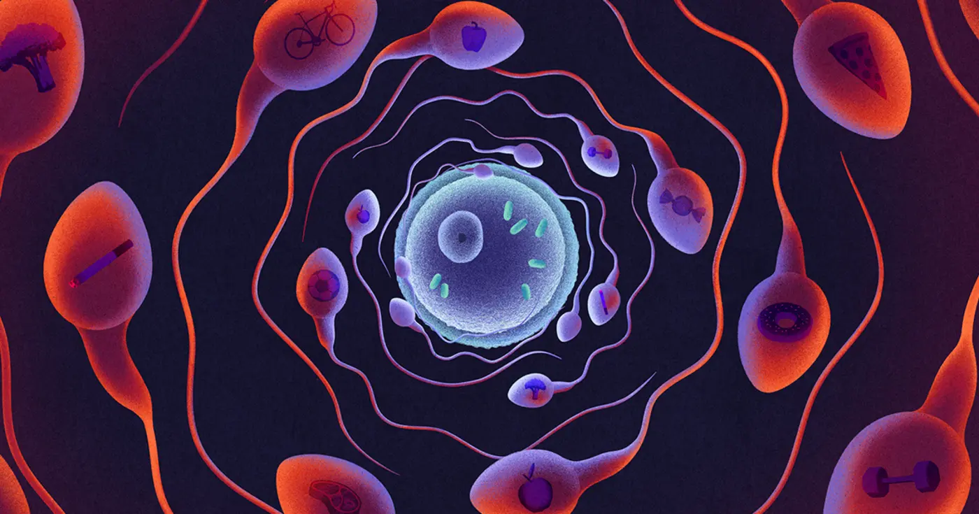 dadx27s fitness may be packaged and passed down in sperm rna