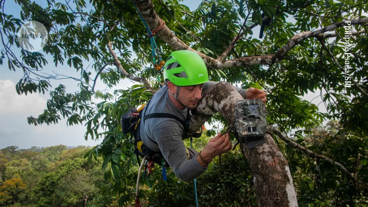 x27i rarely get outsidex27 scientists ditch fieldwork in the age of ai