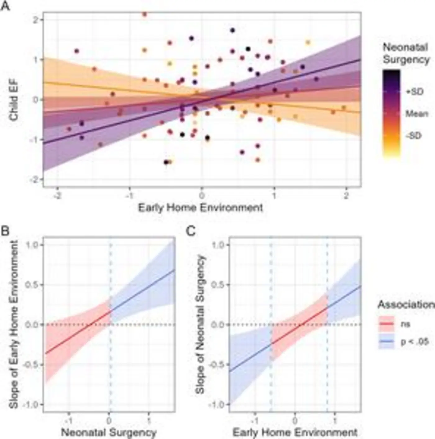 what if adhd risk isnx27t fixed at birth