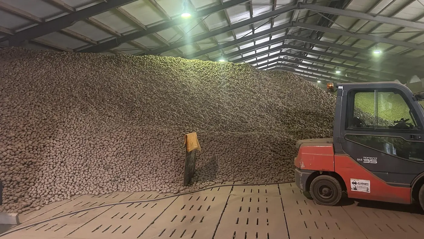 4k tons of potatoes to be given away for free in berlin