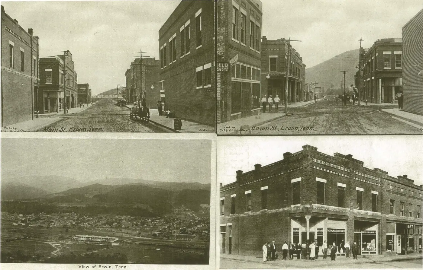 true story of the 1916 hanging of murderous mary a circus elephant