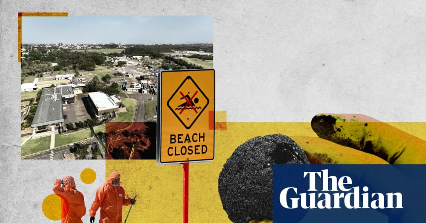 fatberg the size of 4 buses likely birthed poo balls that closed sydney beaches