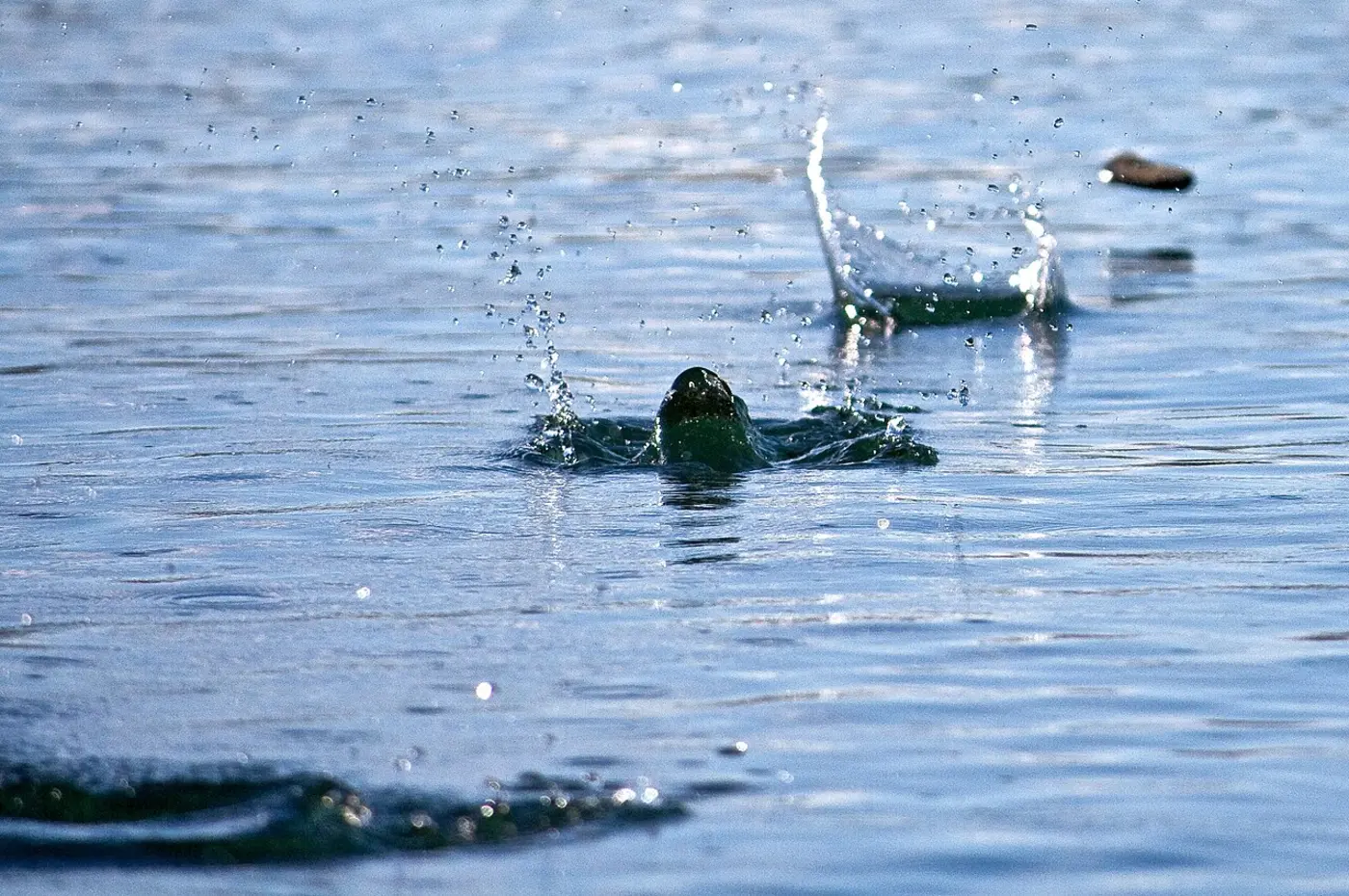 names for stone skipping around the world