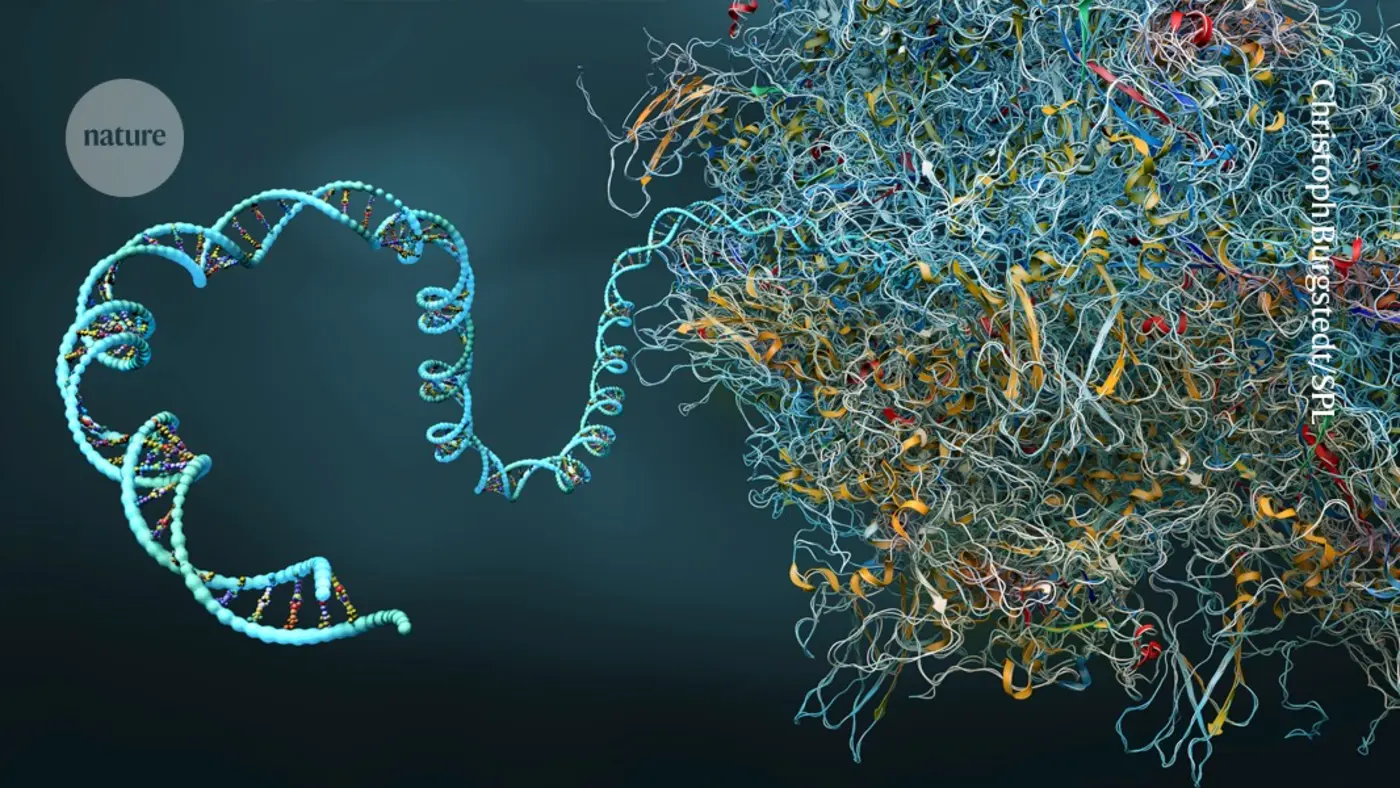 a x27time capsule for cellsx27 stores the secret experiences of their past