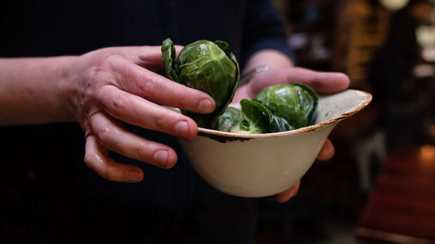 from culinary dud to stud how dutch plant breeders built a brussels sprouts boo