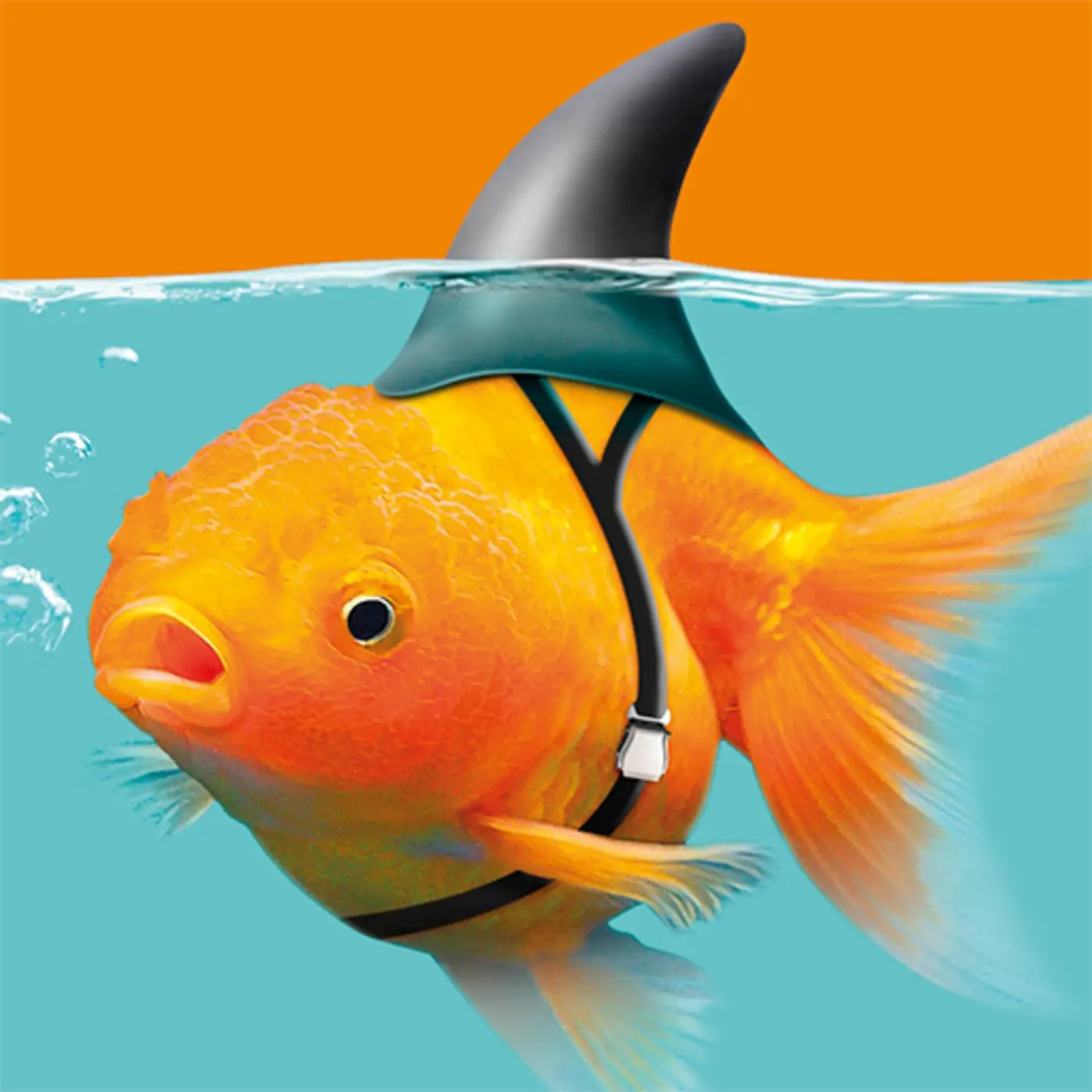 the relentless rule of my fitness tracker