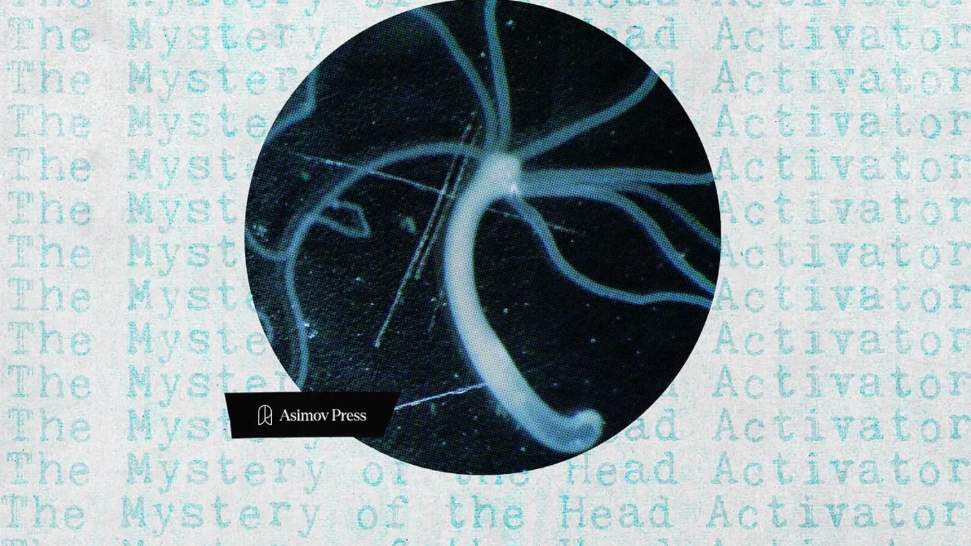 mystery of the head activator