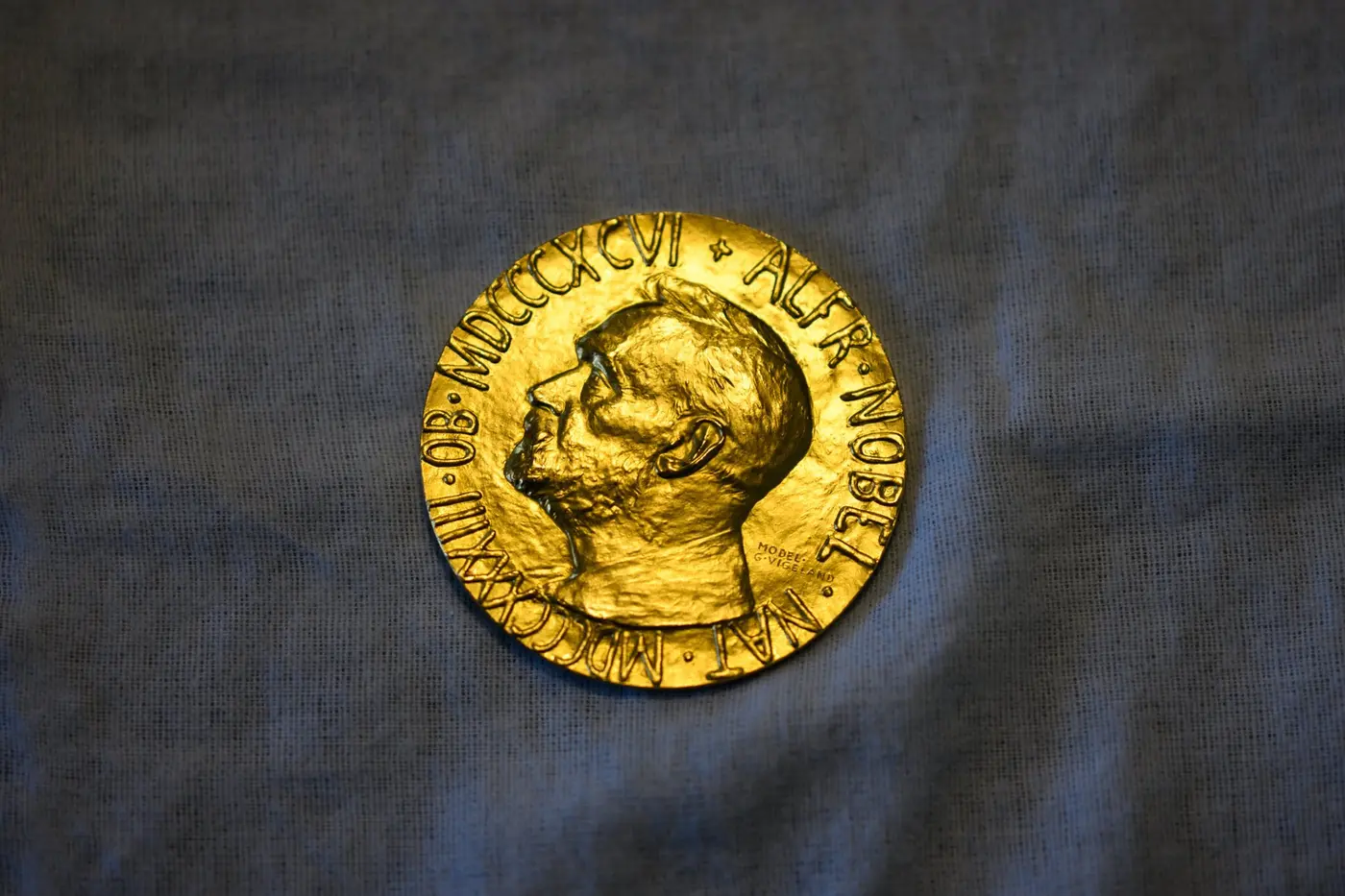 statement from the nobel foundation