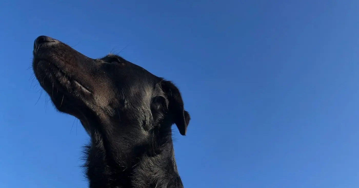 i analyzed 28 months of data herex27s why story points are a broken tool