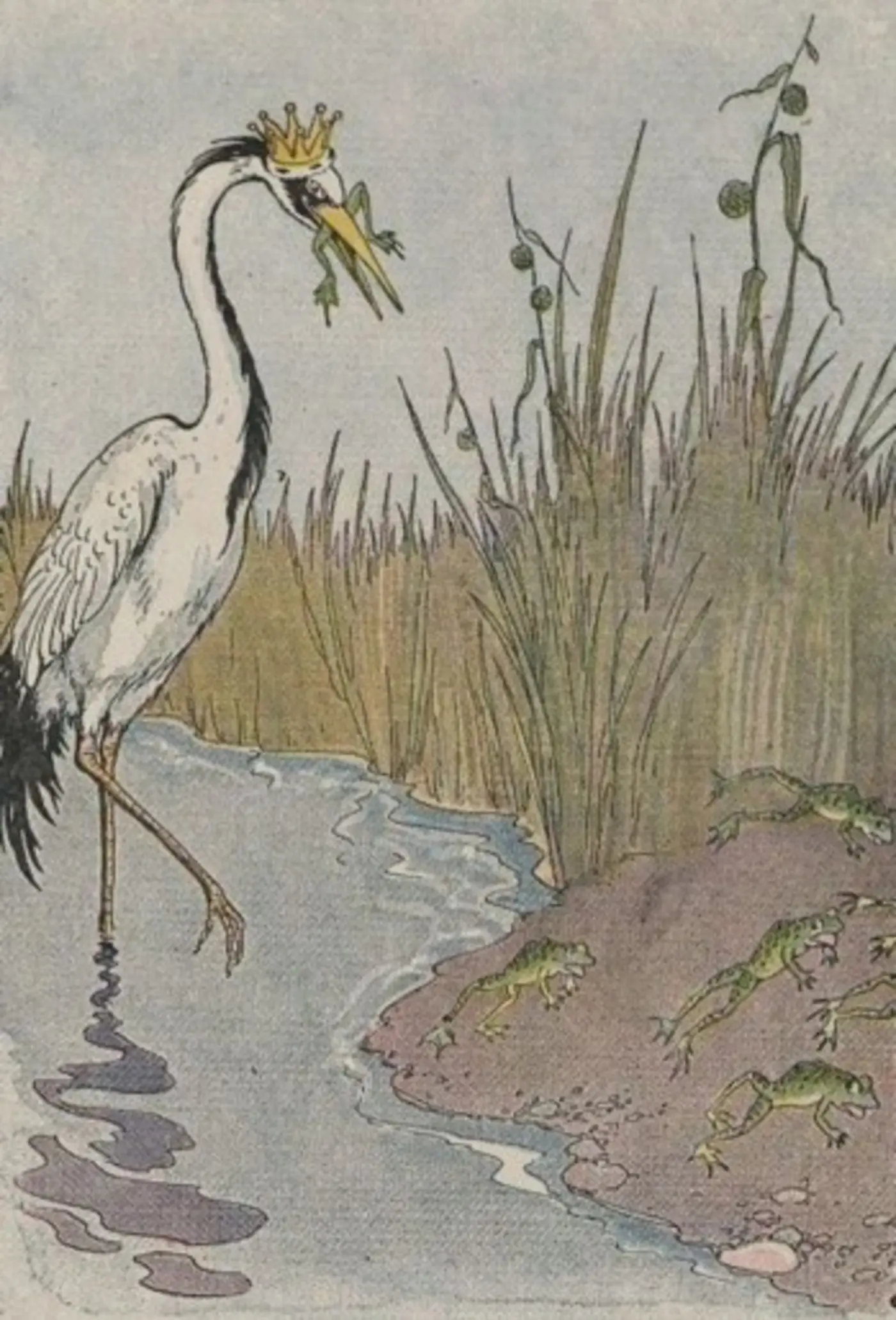 the frogs who desired a king