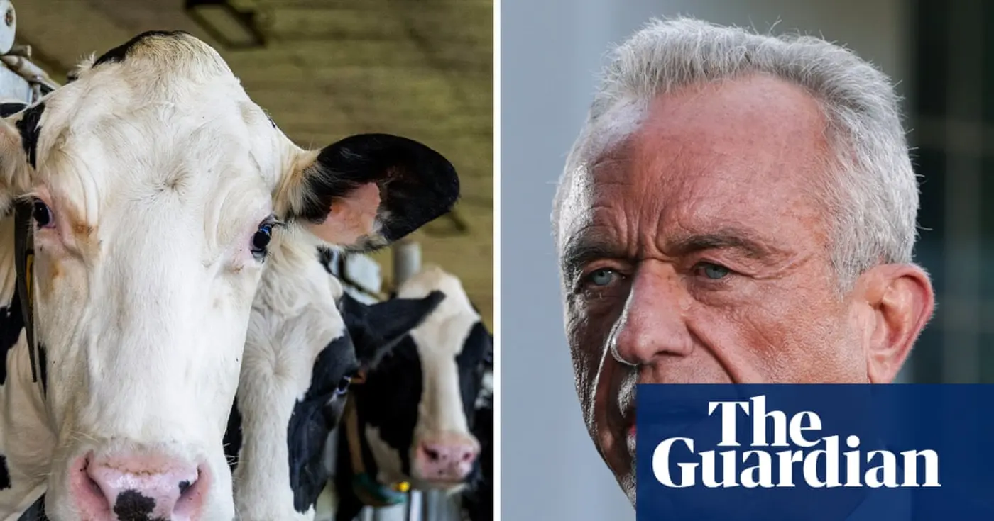 huge amounts of extra land needed for rfk jrx27s meatheavy diet guidelines