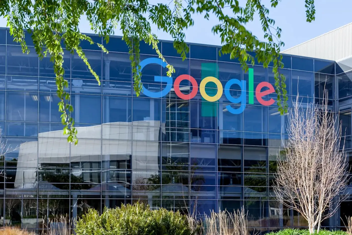 google cofounder reveals that quotmanyquot of the new hires do not have a degree