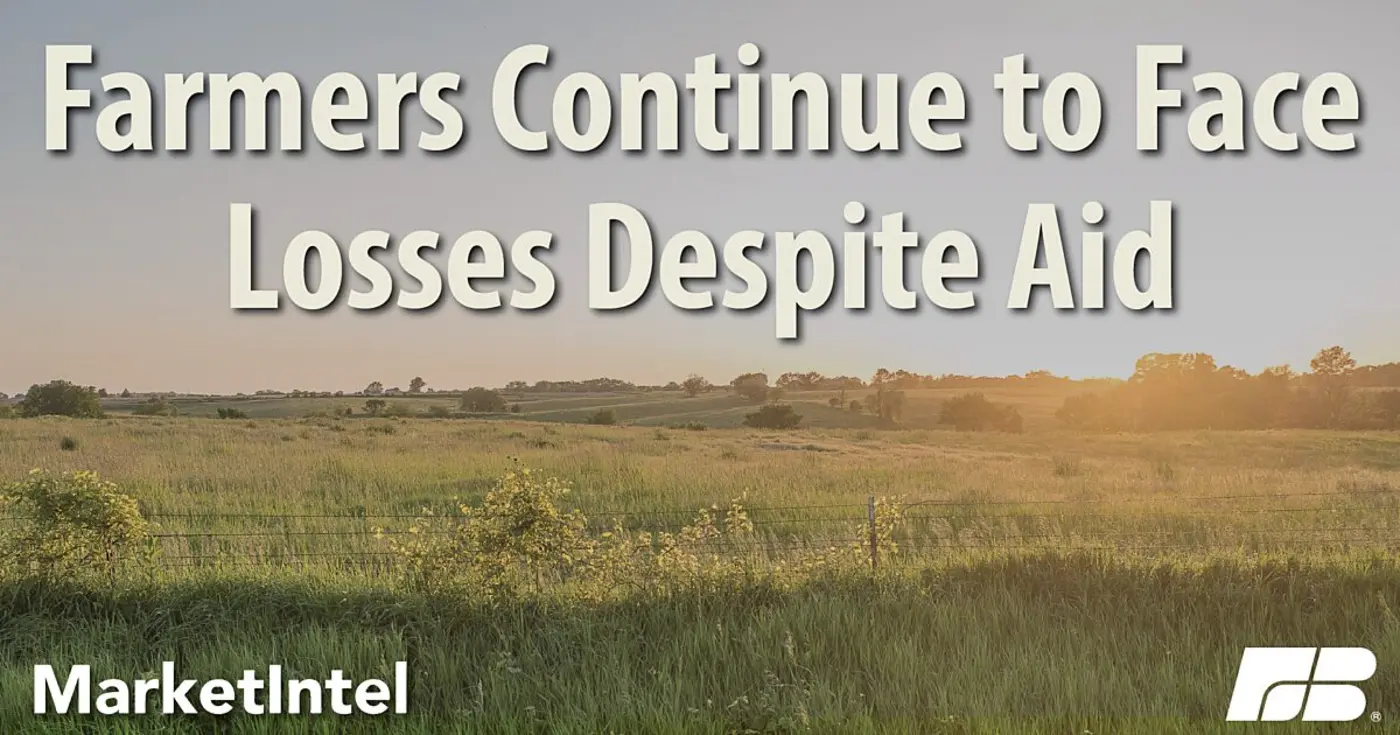 significant us farm losses persist despite federal assistance
