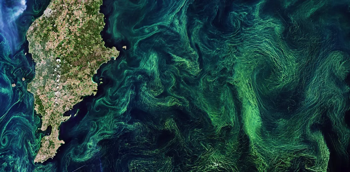climate engineering would alter the oceans reshaping marine life
